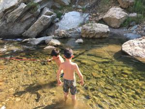 B&B Helga's Agricampeggio img52