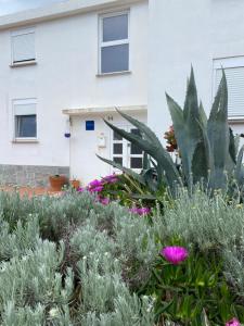 Accommodation with an experience!!! Hostel Kantun