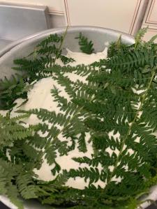 B&B Helga's Agricampeggio img56