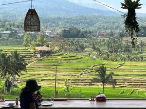 Metta Cabin Rice Terrace Jatiluwih Babahan Bali