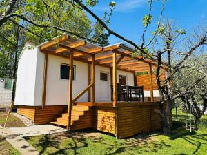 Glamping Prokop