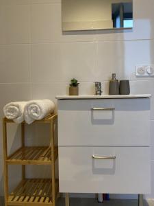 Appartements Le Jules Appart'Hotel, centre ville Romans-sur-Isere : Appartement 2 Chambres