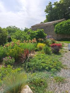 Maisons de vacances Le Chant des Tongs - La Canopee : photos des chambres