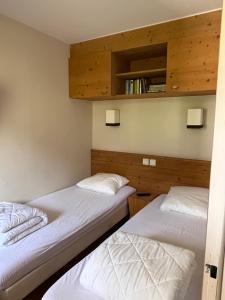 La Plagne Appartement au pied des pistes avec vue Mont Blanc