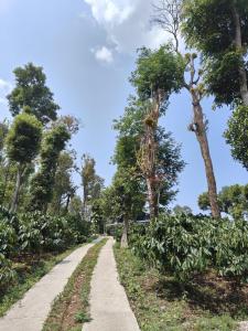 Hidden Haven 1BR Coorg