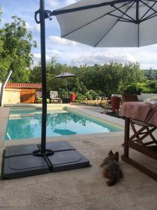 Maisons de vacances La grange a Tabac : photos des chambres