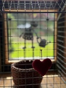 Alice Chalet Bled - Adults only