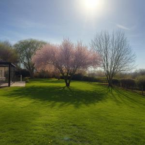 Quiet and good location apt