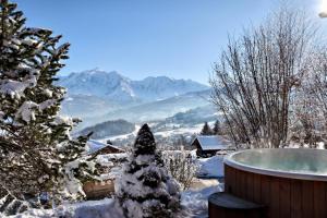Hotels Le Chalet Hotel Cordon Adults Only : photos des chambres