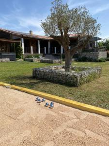 Villas Villa de standing avec Piscine et Jacuzzi : photos des chambres