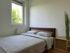 ÁRNYAS LIGET APARTMAN - Free parking