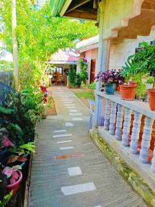 Virginia Homestay 1North Siargao