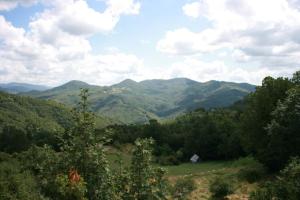 House x visit 5TerreTigulliobay