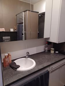 Modern 1-bedroom apartment with sea view in Ostend T92