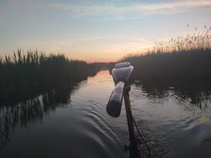 Pfahlbau Sunset II Toplage inklusive Elektroboot