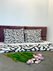 Parkcity Centrum Zabrska