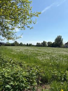 B&B de Plattelandshoeve