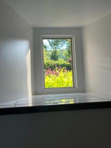 Maisons de vacances Gite 3, Domaine Logis Gascogne : photos des chambres