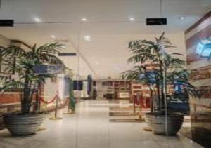 اجنحة الفرسان حى الفيصلية اماسي البشاير