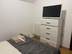 Casa cu brad