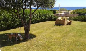 Villetta Costa Caddu img2