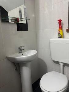 Casa cu brad