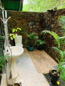 Nature World Jungle Paradise