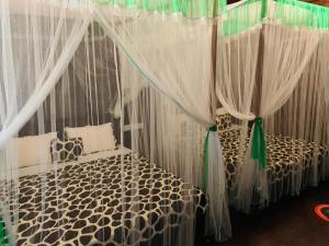 Nature World Jungle Paradise