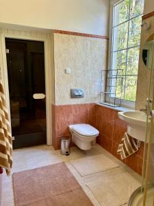 Villa Otolice obok Łowicza, 6 sypialni, balia, sauna, basen, snooker, 50 minut od Warszawy i Łodzi