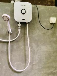 Nature World Jungle Paradise