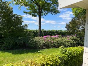 Vakantiehuis op de Veluwe met landelijk uitzicht en privacy