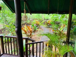 Nature World Jungle Paradise