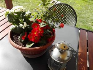 Attico Panoramico tra Verde e Mare con Giardino Deluxe