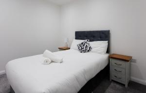 Modern 2 Bedroom Apt in Belfast