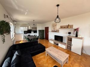 Guest house with pool Ante