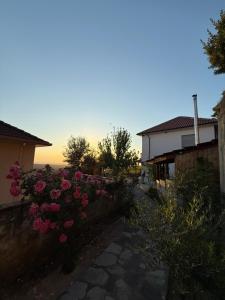 Meti Guest House