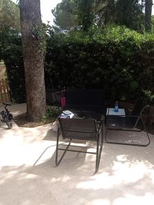 Cap Pinède jardin