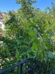 A local experience in Cappadocia