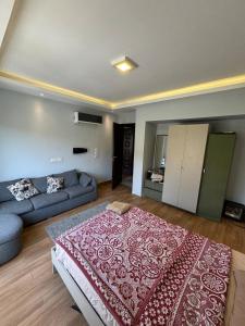 Central apartment in new cairo