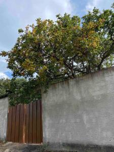 New and beautiful house that can accommodate 10 guests
