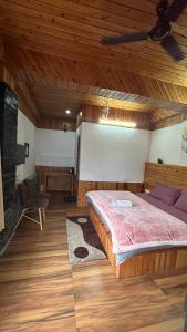 The himalayan sukoon villa near jibhi