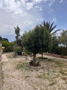 Appartamento a 4 minuti dal mare img19