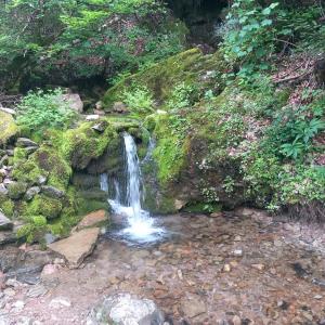 Seosko domaćinstvo Aprcović