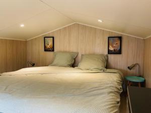 Maisons de vacances Saubion - Green Cube - Couple - Famille : photos des chambres