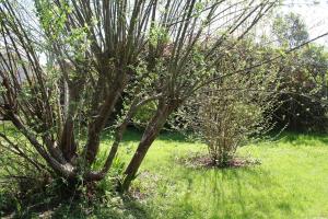 Maisons de vacances Saubion - Green Cube - Couple - Famille : Maison 1 Chambre