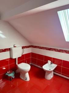 House close to the airport, Craiova