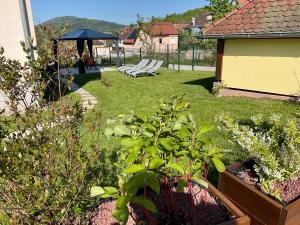 Maisons de vacances Le BerNid : photos des chambres
