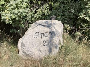 PipOp - the placeyou find your soul again