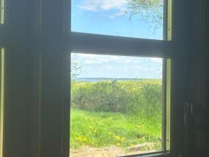 PipOp - the placeyou find your soul again