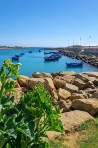 Résidence Beralmar direct plage piscine